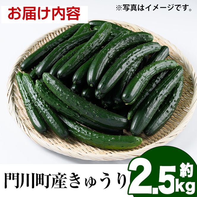 宮崎県産きゅうり(2.5kg)野菜 やさい サラダ 胡瓜 漬物 キムチ 冷蔵【NS-2】【中澤農園】