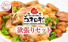 宮崎チキン ローストチキンコオロギ　欲張りセット（丸焼き700ｇ以上、モモ身２本、羽身2本、手羽先10本、ネック1本）_M150-004