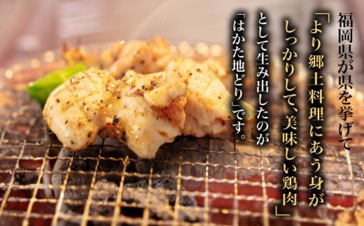 【全12回定期便】【化粧箱入】はかた地どり モモ・ムネ肉 合計500g 塩胡椒付焼き鳥 焼き肉 すき焼き用《築上町》【株式会社マル五】[ABCJ122]