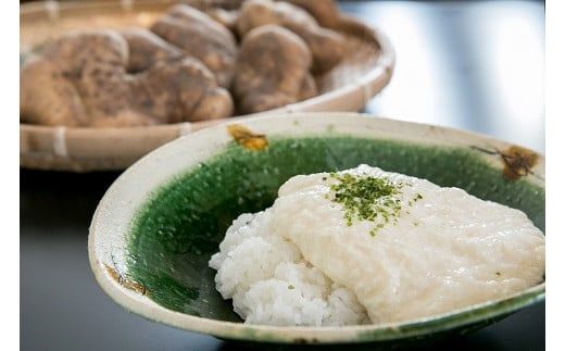 E059 徳地やまのいも1㎏袋（ご家庭用）×1袋