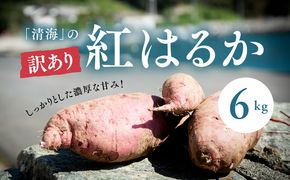 【訳あり】さつまいも 紅はるか6kg（生果） ｜ さつまいも サツマイモ 焼き芋 国産 産地直送