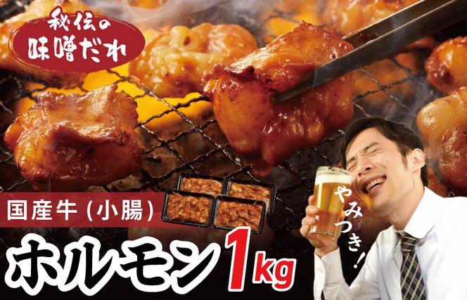 G1154 国産 牛肉 ホルモン 1kg 味噌だれ漬け 焼肉用 小分け 250g×4P