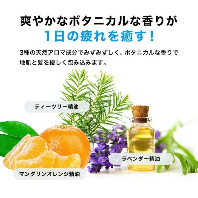 【定期便2ヶ月】スーパーサイヤ 濃密泡 スカルプシャンプー 180ml【医薬部外品】＆泥パック コンディショナー 150g【化粧品】メンズ セット ※着日指定不可