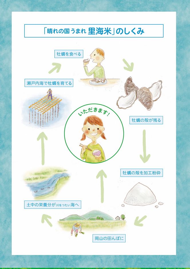 【瀬戸内海保護】A-154e　里海米3パック（計6kg）無洗米　長期保存可《45日以内に出荷予定(土日祝除く)》---A-154e---