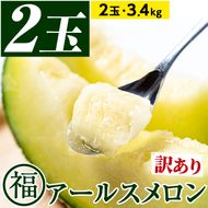 【0211116a】＜訳あり＞マル福の高級アールスメロン(2玉・計3.4kg)メロン フルーツ 果物 果実 3キロ 数量限定 期間限定【マル福園芸組合】