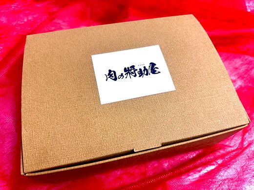 近江牛１００％　プレミアム生ハンバーグ1.2kg（約120g×10個）【FO19U】