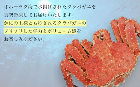 タラバガニ ボイル冷凍 1.3～1.6kg オホーツク産 SRMN003