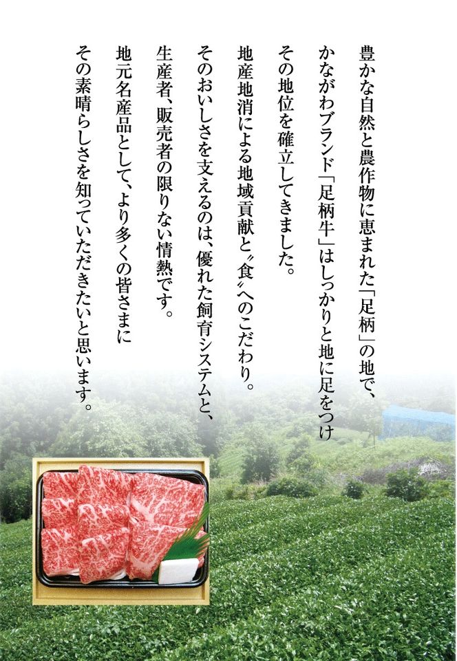 かながわブランド【足柄牛】牛スジ500g