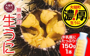 [5月より発送]岩手三陸生うに牛乳瓶入150g×1本 ミョウバン不使用 [配送日指定不可][19][0tsuchi00903]