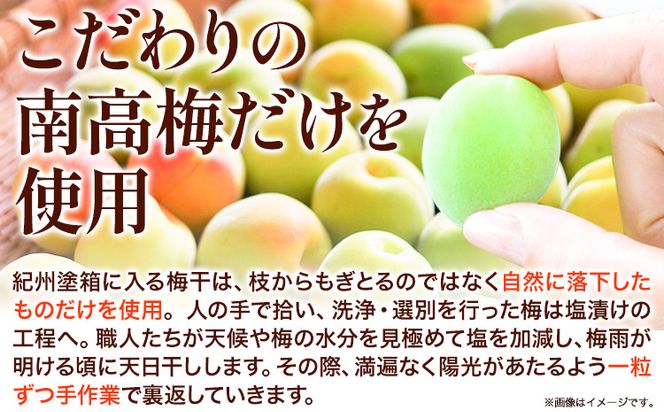 高級南高梅 しそ漬梅 500g 網代模様仕上紀州塗箱入り 澤株式会社《90日以内に出荷予定(土日祝除く)》和歌山県 日高町 梅干し しそ しそ漬梅 紀州南高梅 紀州塗 送料無料---wsh_swa5_90d_24_14000_500g_b---