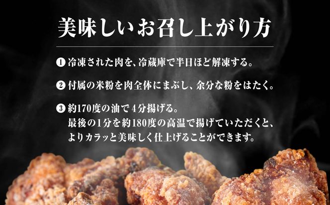 【基地の新名物】小松基地空上げ（からあげ）ご自宅セット（600g） 009011