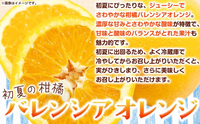【爽快】有田産バレンシアオレンジ 7.5kg(M～2Lサイズおまかせ) 厳選館 《2023年6月中旬-7月末頃出荷》和歌山県 日高町 オレンジ 柑橘 フルーツ 果物---wsh_genbore_bc6_22_16000_7500g---