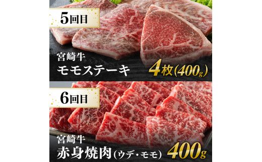 【6ヶ月定期便】宮崎牛定期便B（ ステーキ ・ 焼肉 ） 全6回【 肉 牛肉 国産 宮崎県産 宮崎牛 黒毛和牛 和牛 ステーキ 焼肉 4等級 A4ランク 】 [E11134t6]