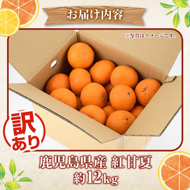 ＜先行予約受付中！2026年3月以降順次発送予定＞訳あり 紅甘夏(約12kg) 国産 鹿児島県産 果物 フルーツ 柑橘 みかん 甘夏【松永青果】akn053-19
