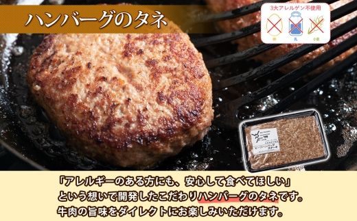 北海道 ビーフ ハンバーグステーキ 500g  ハンバーグの種 手づくり ハンバーグ タネ  卵不使用 乳不使用 小麦不使用 国産  beef 牛肉 赤身肉 国産牛 肉 おかず パーティー 冷凍 お取り寄せ 送料無料 十勝 士幌町【W07】