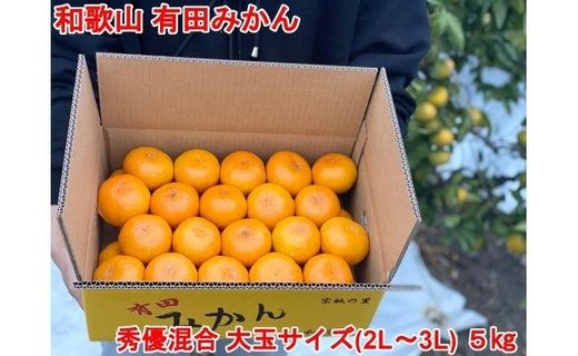 大玉サイズ(2L・3L）・秀／優混合］早生みかん≪5kg≫和歌山