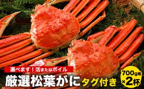 【選べます！活またはボイル】《タグ付き》厳選松葉がに 特大2杯（700g超×2杯）※着日指定不可※離島への配送不可※2024年11月上旬～2025年3月下旬頃に順次発送予定