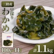 三陸産 早採りわかめ 100g×11パック 計1.1kg 冷凍 小分け [nomura034]