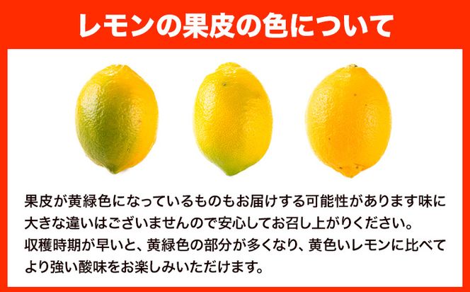 レモン 約2kg と 手搾り100％レモン果汁 1本 セット《12月中旬-2月末頃出荷》熊本県 玉名郡 玉東町 菅本果実園 檸檬 レモンジュース レモネード はちみつレモン---sg_sugarrj_bc122_25_12000_2set---