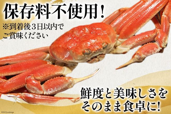 【年内配送 12/15まで受付】老舗カニ卸業者から直送 本ずわいがに ほぐし身 500g [カネダイ 宮城県 気仙沼市 20564328] 