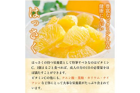 先行予約 和歌山県産 八朔(はっさく) 約4kg 前商店《2025年1月上旬-1月末頃出荷》産地直送 柑橘---wsk_ucsbhsk_ac1_22_11000_4kg---