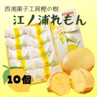 160-1952 西湘菓子工房樫の樹　江ノ浦れもん10個入りギフト 【 お菓子 スイーツ 神奈川県 小田原市 】