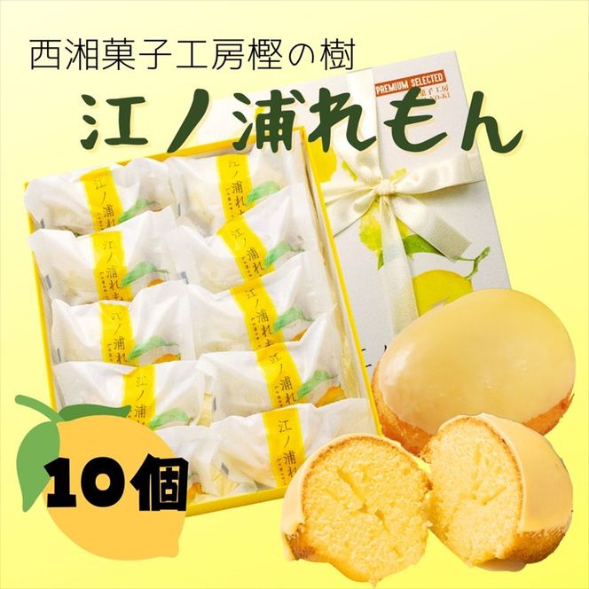 160-1952 西湘菓子工房樫の樹　江ノ浦れもん10個入りギフト 【 お菓子 スイーツ 神奈川県 小田原市 】