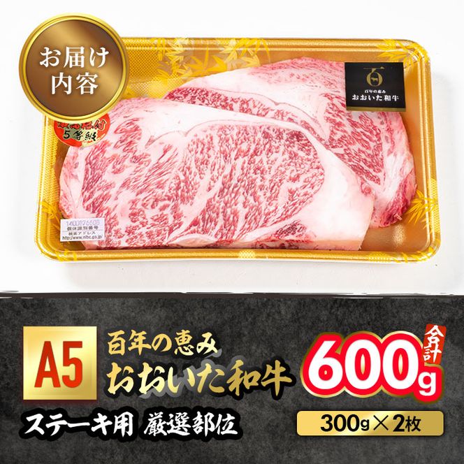 百年の恵み おおいた和牛 A5 ステーキ用 厚切り 厳選部位 (計600g・300g×2枚) 国産 牛肉 肉 霜降り ロース 肩ロース サーロイン 和牛 ブランド牛 ステーキ 冷凍 【FS10】【 (株)トキハインダストリー】