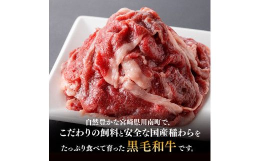 宮崎県産黒毛和牛 切り落とし 300g 【 肉 牛肉 黒毛和牛 精肉 】 [G0510]