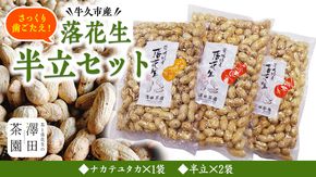 牛久市産 落花生 半立セット ピーナッツ ピーナツ ナカテユタカ 中手豊 半立 はんだち 食べ比べ 農園 自家栽培 有機栽培 おやつ お菓子 おつまみ お取り寄せ 詰め合わせ セット お土産 贈り物 ギフト プチギフト 国産 茨城 特産品 ビールのお供 [AX003us]