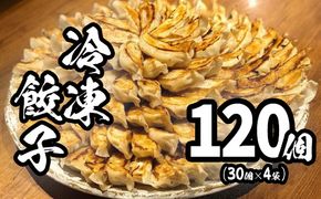 【茨城共通返礼品】<2025年12月発送> ローズポーク使用 道の駅さかい 特製餃子 120個(冷凍) 国産 にんにく ぎょうざ 餃子 ギョーザ 小分け 冷凍餃子 冷凍ギョーザ K1497