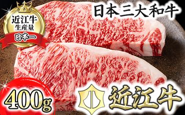[4等級以上][カネ吉山本]近江牛[吟] ステーキ用 サーロイン[400g(約 200g×2枚)][Y021SM1]