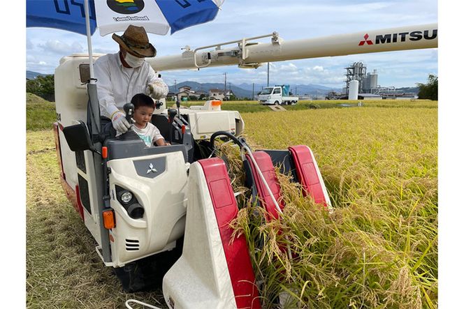 ピロール米　御殿場こしひかり　2kg ◇ ｜ 令和7年産 コシヒカリ 米 精米 白米 静岡県