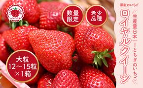 深紅のいちご 『ロイヤルクイーン』 大粒 12粒～15粒×1箱 先行予約 希少価値の高いイチゴの女王！ 深紅のスイートベリー 58ロハスファーム ※2026年1月中旬～5月中旬頃に順次発送予定