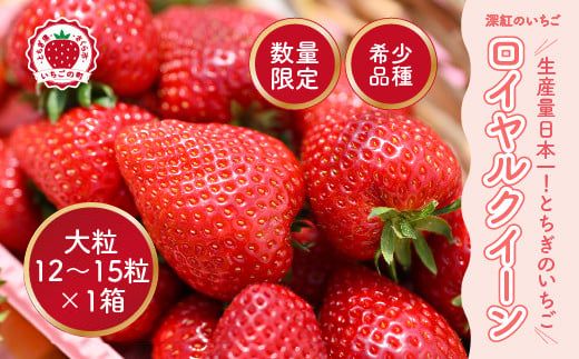 yȖ،sz[ĝ wCNC[x 嗱 12`15×1 s\ 󏭉l̍C`S̏I [g̃XC[gx[ 58nXt@[ 2026N1{`5{ɏ\