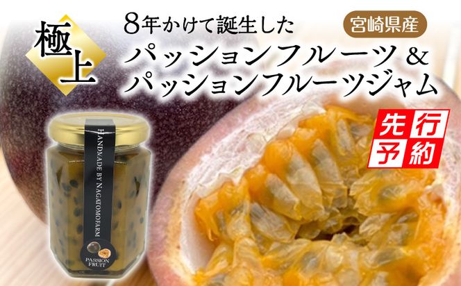 在庫限りッ！アウトレット 150g ジャムーティー 150g 2袋セット 150g 