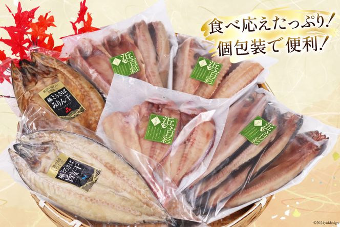 厳選魚種 干物 セット 約3kg 15枚入 [カネダイ 宮城県 気仙沼市 20564364] 干物 ひもの 魚 個包装 チダイ 飛魚 トビウオ ほっけ 赤魚 あかうお 鯖 さば おかず 詰め合わせ 