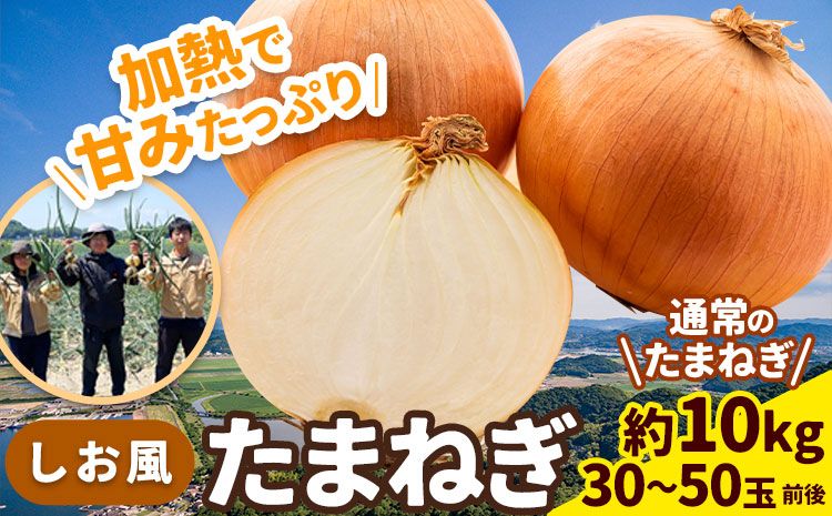 [2025年先行予約分]しお風たまねぎ 約10kg[2025年6月上旬-6月末頃出荷(土日祝除く)] 玉ねぎ たまねぎ 野菜 青果物 岡山県 笠岡市---223_786_6j6m_24_5000_10kg---