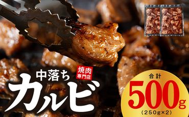 099H2301 焼き肉専門店 自家製タレ漬け 中落ちカルビ 合計500g（250g×2）