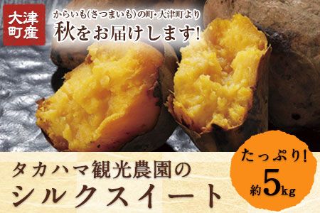 【早期予約】熊本県大津町産 タカハマ観光農園のシルクスイート 約5kg《1月上旬-4月末頃出荷》 さつまいも 芋 スイートポテト 干し芋にも---so_tkhmslk_af14_24_9500_5kg---