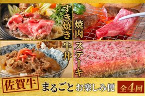 【4回定期便】 佐賀牛 まるごと欲張り お楽しみ便（合計3kg）(H085146)