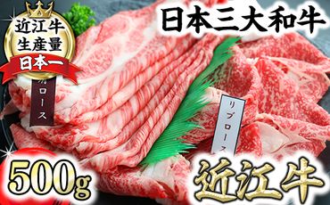 近江牛 霜降りすき焼き用（リブロース･肩ロース）【500g（リブロース250ｇ、肩ロース250ｇ）】【CO03SM】