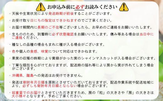 シャインマスカット 約1.8kg（約2～5房）《信州グルメ市場》■2024年発送■※9月上旬頃～10月下旬頃まで順次発送予定