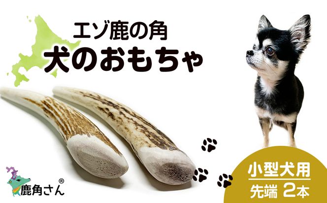 鹿の角 エゾシカ 犬のおもちゃ 『鹿角さん』 小型犬用　先端　2本セット  CB026