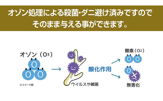 鹿の角 エゾシカ 犬のおもちゃ 『鹿角さん』 小型犬用　先端　1本 CB025