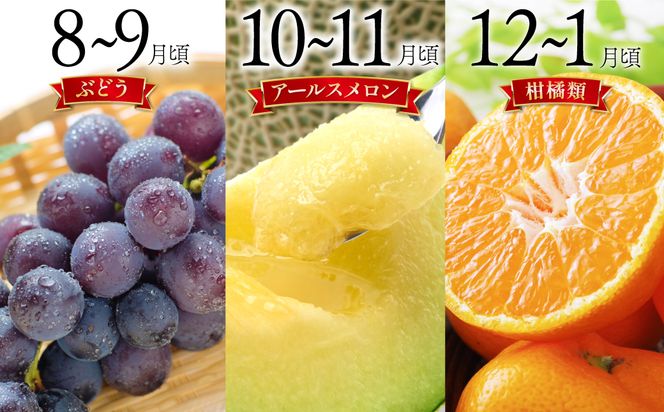 y茧쓇szy6 BR[Xzt[c {̃t[cZbg /  r XCJ Ԃǂ A[X k 쓇s / 茧_Yiʍ [SCB066]