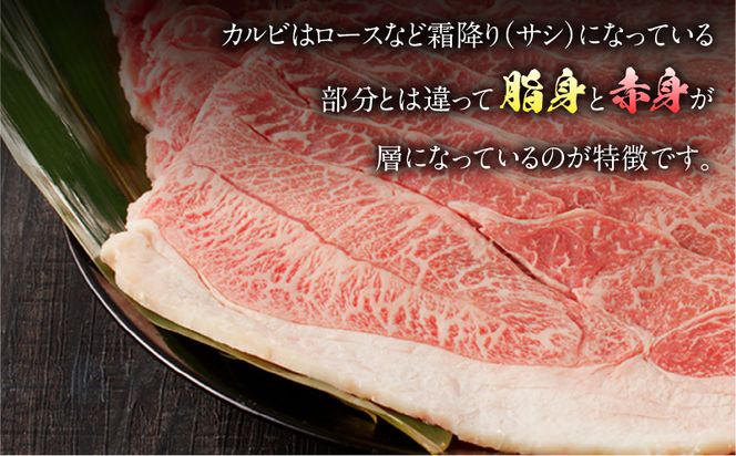 宮崎県産黒毛和牛 カルビ一枚肉【厚め】1.0kg_M243-024