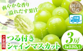 家庭用つる付きシャインマスカット 3房(1房530g以上)【配送不可地域あり】有限会社ホーティカルチャー神島 令和7年産先行受付《9月上旬-10月下旬頃出荷》岡山県 笠岡市 送料無料 葡萄 フルーツ 果物 シャインマスカット つる付き お取り寄せフルーツ---H-32a---