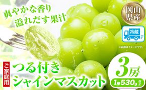 家庭用つる付きシャインマスカット 3房(1房530g以上)【配送不可地域あり】有限会社ホーティカルチャー神島 令和8年産先行受付《2026年9月上旬-10月下旬頃出荷》岡山県 笠岡市 送料無料 葡萄 フルーツ 果物 シャインマスカット つる付き お取り寄せフルーツ---H-32b---