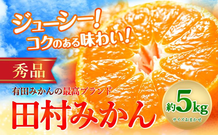 [先行予約]みかん 田村 みかん 秀品 5kg サイズ指定なし 株式会社とち亀物産[11月下旬-1月中旬頃出荷]和歌山県 日高町 フルーツ くだもの 果物 柑橘 旬 ノーワックス 送料無料 紀伊国屋文左衛門本舗 蜜柑 ミカン オレンジ---wsh_tktmikan_h111_22_19000_5kg---